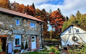 Apartament Czar-nów